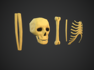 Stylized bones 3D 모델
