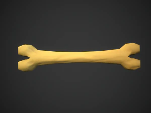 Stylized bones 3D Model