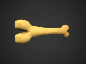 Stylized bones 3D Model