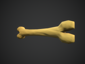 Stylized bones 3D 모델