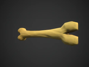 Stylized bones 3D Model
