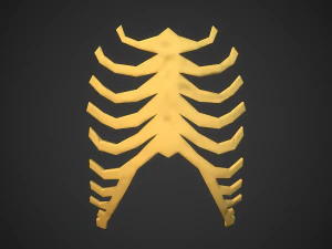 Stylized bones 3D Model