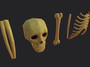 Stylized bones 3D 모델