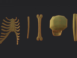 Stylized bones 3D 모델