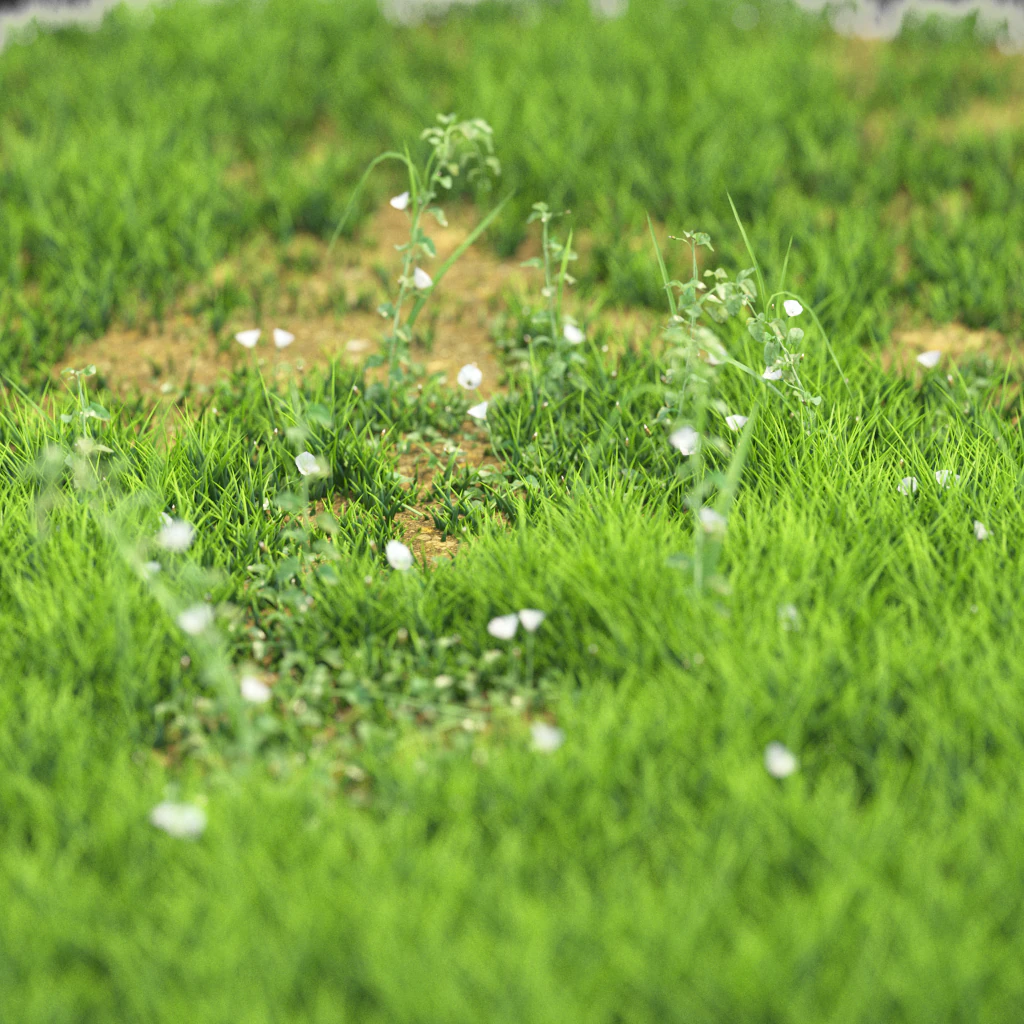трава 3D Модель .c4d .max .obj .3ds .fbx .stl .blend 
