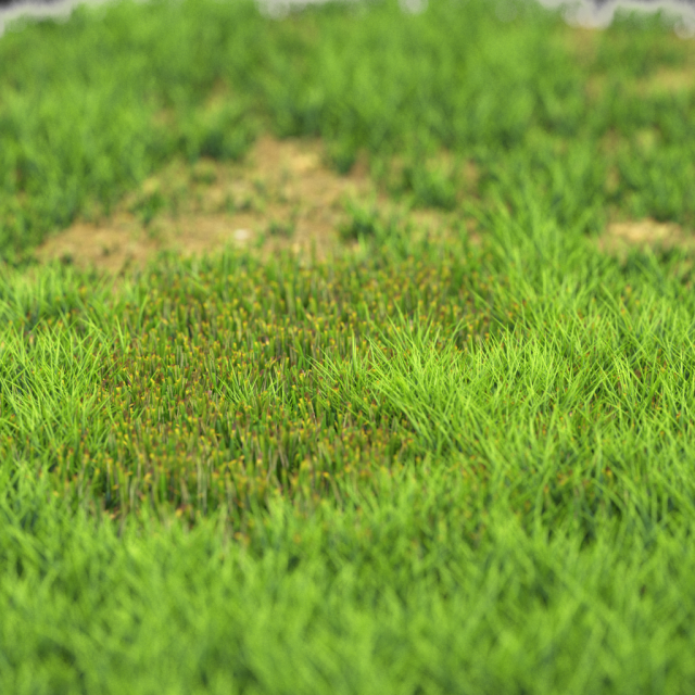 grassx1011-20 Modelo 3D .c4d .max .obj .3ds .fbx .stl .blend 