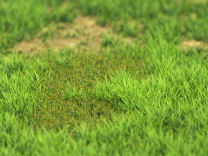 grassx1011-20 Modelo 3D