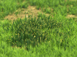 grassx1011-20 Modelo 3D