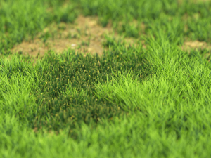 grassx1011-20 Modelo 3D