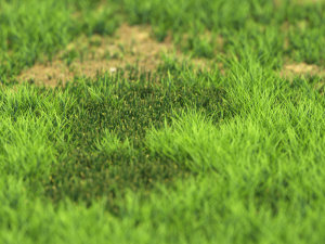 grassx1011-20 Modelo 3D