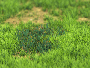 grassx1011-20 Modelo 3D