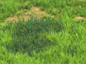 grassx1011-20 Modelo 3D