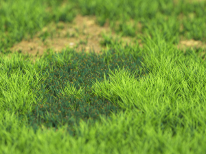 grassx1011-20 Modelo 3D