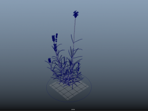 grassx1011-20 Modelo 3D