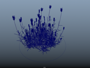 grassx1011-20 Modelo 3D