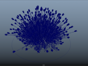 10 flowers 21-30 3D Model