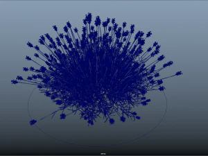 10 flowers 21-30 3D Model