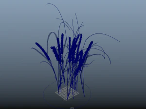 10 flowers 21-30 3D Model