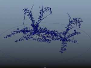 10 flowers 21-30 3D Model
