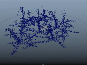 10 flowers 21-30 3D Model