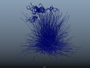 10 flowers 21-30 3D Model