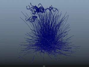 10 flowers 21-30 3D Model