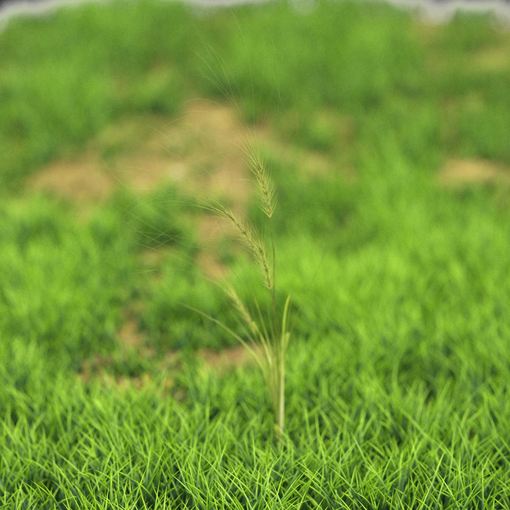 flower-x10-31to40 3D Model .c4d .max .obj .3ds .fbx .stl .blend 