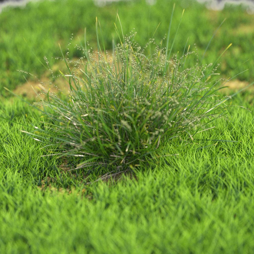 flower-x10-41to50 3D Model .c4d .max .obj .3ds .fbx .stl .blend 