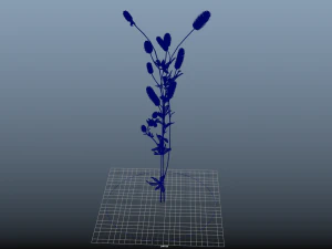 flower-x10-41to50 3D Model