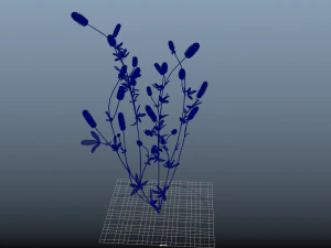 flower-x10-41to50 3D Model