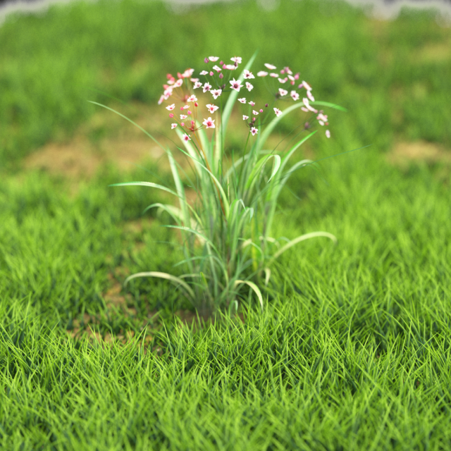 flower-x10-51to60 3D 모델 .c4d .max .obj .3ds .fbx .stl .blend 