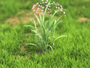 flower-x10-51to60 3D Model