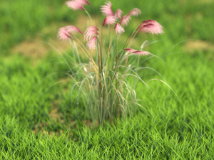 flower-x10-51to60 3D 모델