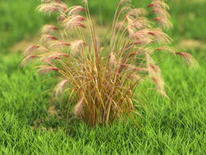 flor-x10-51to60 Modelo 3D