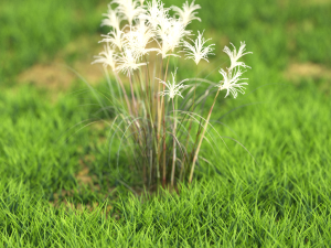 flower-x10-51to60 3D 모델