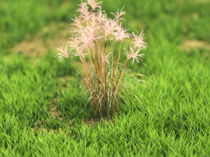 flower-x10-51to60 3D 모델