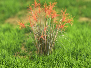 flor-x10-51to60 Modelo 3D