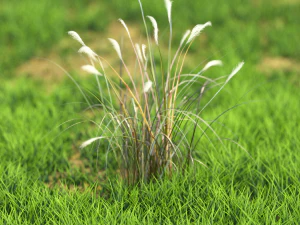 flor-x10-51to60 Modelo 3D