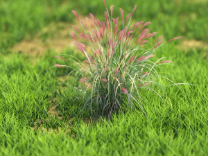 flor-x10-51to60 Modelo 3D