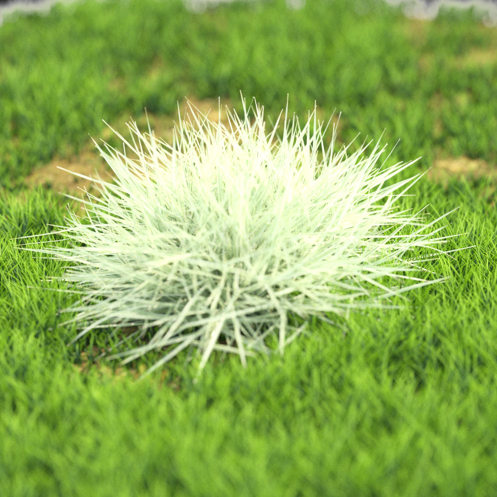 bush-x10-61to70 3D Model .c4d .max .obj .3ds .fbx .stl .blend 