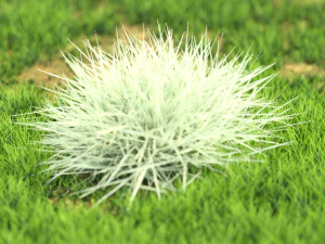 arbusto-x10-61to70 Modelo 3D