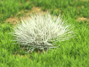bush-x10-61to70 Modelo 3D