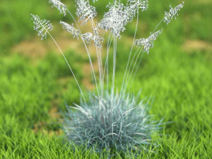 bush-x10-61to70 3D Model