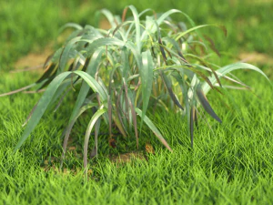 bush-x10-61to70 3D Model