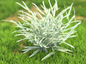 bush-x10-71to80 3D Model