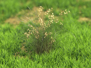 bush-x10-71to80 3D Model