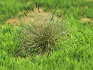 bush-x10-71to80 3D Model