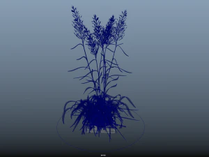 arbusto-x10-71to80 Modelo 3D