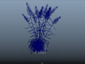 bush-x10-71to80 3D Model