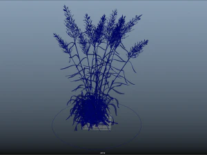 arbusto-x10-71to80 Modelo 3D